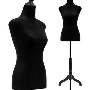Wanted: Mannequin Bust as Seen in Pic